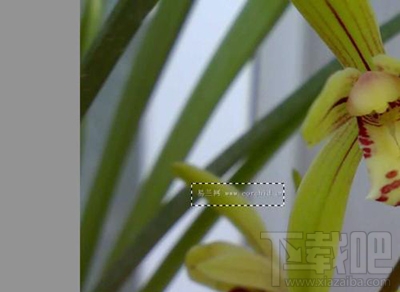 ps怎么去水印？ps去水印教程