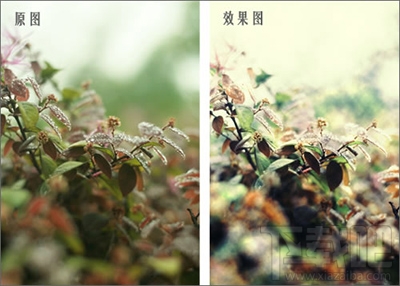 彩影怎么制作浪漫梦境效果 ?彩影怎么用?