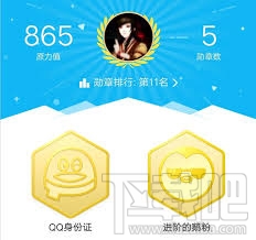 QQ身份证怎么看全球排名