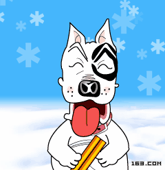 恭喜发财微信动态表情包大全(包括财神版和可爱版)