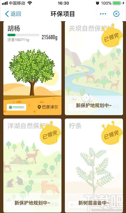 支付宝蚂蚁森林：你改变的不仅仅是虚拟世界