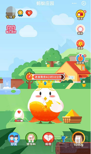 支付宝蚂蚁森林：你改变的不仅仅是虚拟世界