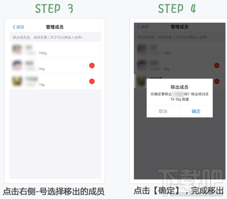 支付宝蚂蚁森林合种被踢出后,成员能量怎么办?