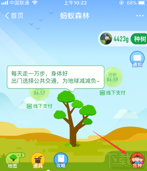 支付宝蚂蚁森林怎么退出合种?