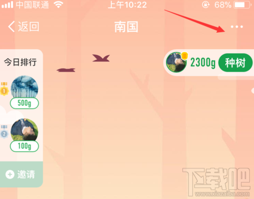 支付宝蚂蚁森林怎么退出合种?