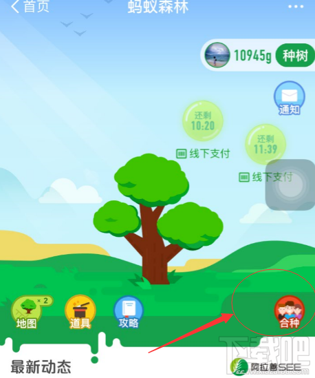 支付宝蚂蚁森林怎么退出合种?
