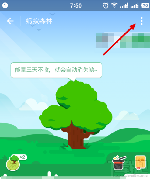 支付宝蚂蚁森林能量值隐藏方法是什么