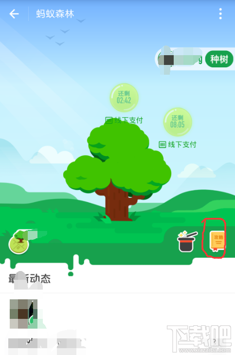 支付宝蚂蚁森林中怎么获得更多的能量