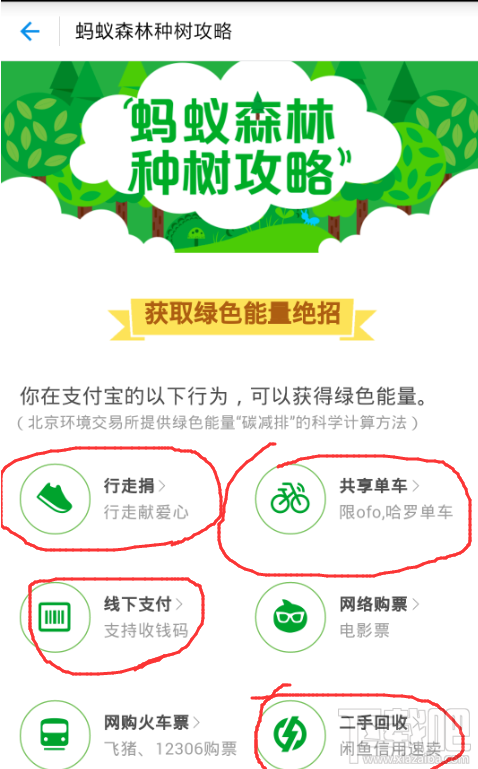 支付宝蚂蚁森林中怎么获得更多的能量