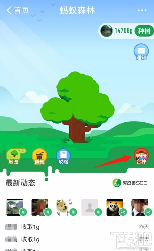 支付宝蚂蚁森林邀好友一起合种的方法介绍