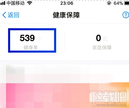 支付宝中的健康果怎么查询