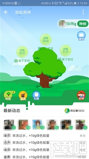 支付宝蚂蚁森林合种树怎么样？合种树功能介绍
