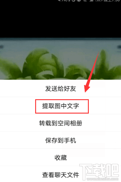 如何使用QQ提取图片上的文字？