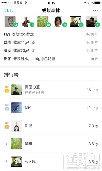 蚂蚁森林能自动收能量吗？怎么防止被偷？