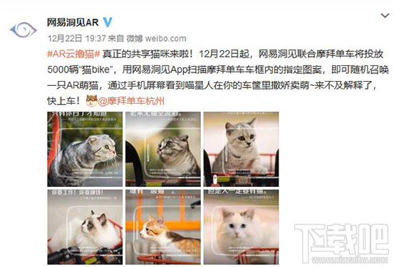 摩拜猫bike在哪有？