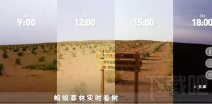 支付宝客户端怎么实时查看蚂蚁森林？支付宝客户端卫星看树教程