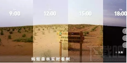 支付宝蚂蚁森林怎么卫星看树？支付宝蚂蚁森林卫星看树技巧