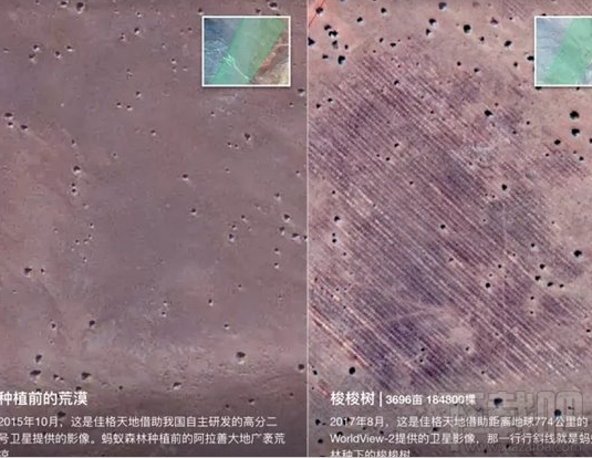 支付宝蚂蚁森林怎么卫星看树？支付宝蚂蚁森林卫星看树技巧