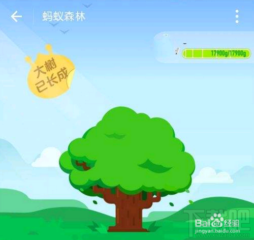 支付宝蚂蚁森林种的树在哪？蚂蚁森林在哪找到自己的树？