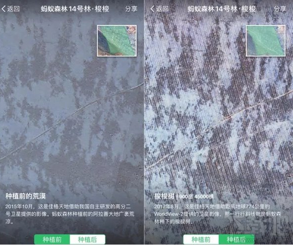 支付宝客户端怎么实时查看蚂蚁森林？支付宝客户端卫星看树教程