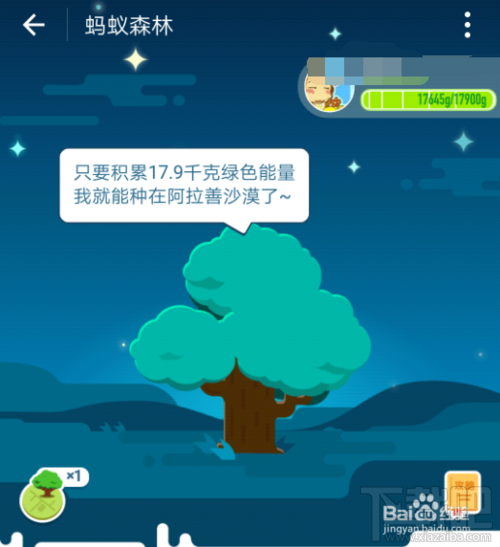 支付宝蚂蚁森林种的树在哪？蚂蚁森林在哪找到自己的树？