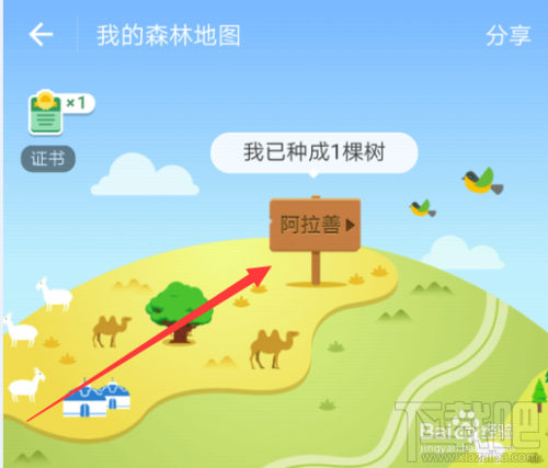 支付宝蚂蚁森林种的树在哪？蚂蚁森林在哪找到自己的树？