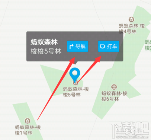 支付宝蚂蚁森林种的树在哪？蚂蚁森林在哪找到自己的树？