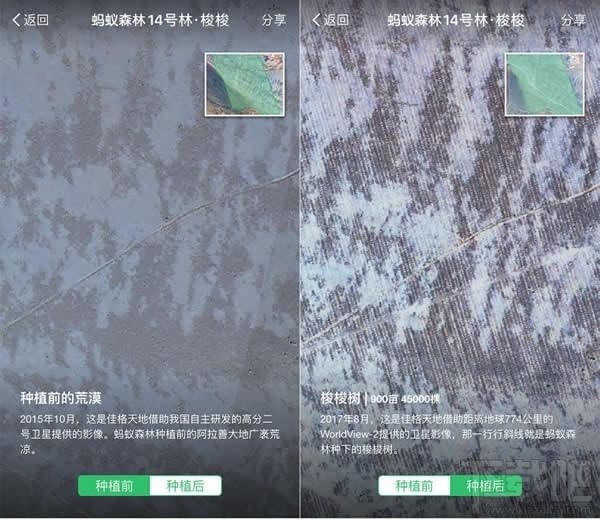 支付宝蚂蚁森林卫星看树怎么查看？