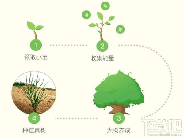 支付宝蚂蚁森林卫星看树怎么查看？