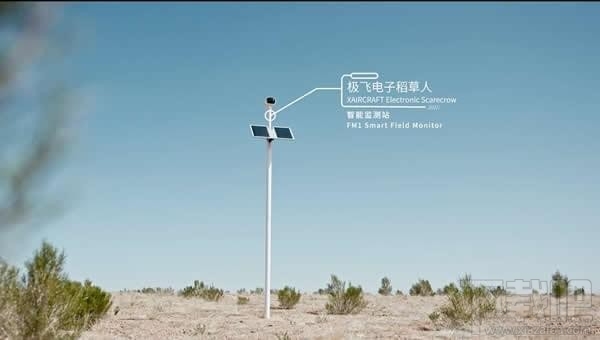 支付宝蚂蚁森林卫星看树怎么查看？