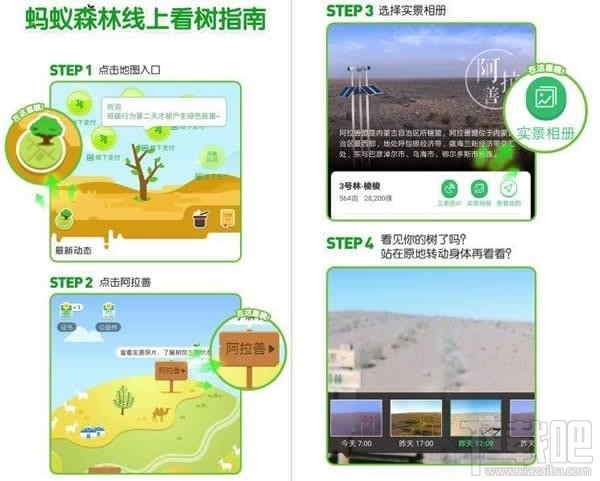 支付宝蚂蚁森林卫星看树怎么查看？