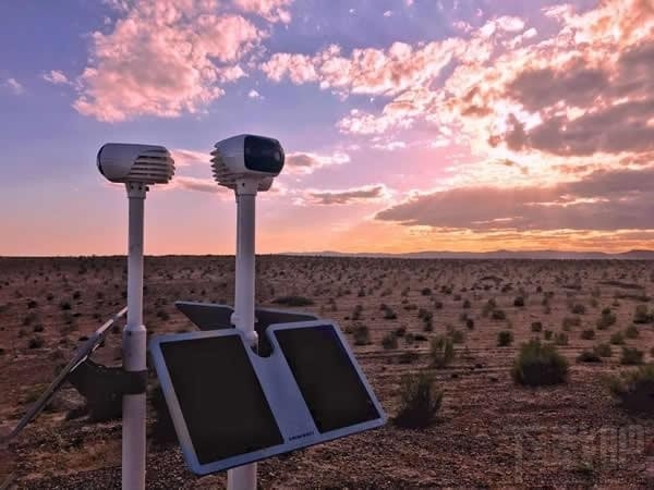 支付宝蚂蚁森林卫星看树怎么查看？