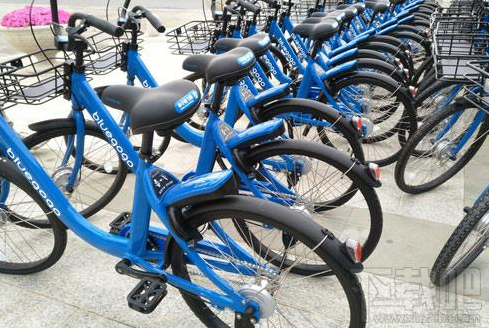 小蓝单车APP押金退款不见了怎么办?小蓝单车押金退不了怎么回事?