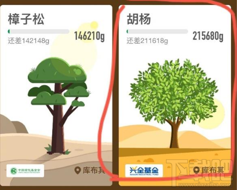 支付宝蚂蚁森林上线215kg的胡杨 蚂蚁森林215kg的胡杨介绍