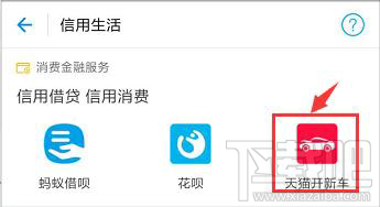 支付宝天猫开新车怎么申请？天猫开新车怎么申请？