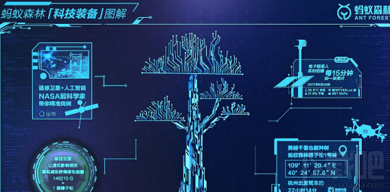 支付宝蚂蚁森林怎么找树？蚂蚁森林找树怎么玩？