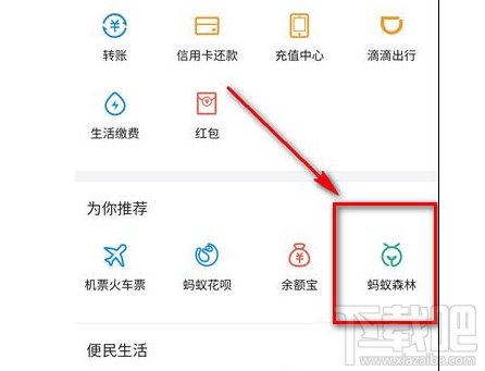 支付宝蚂蚁森林怎么种树？支付宝蚂蚁森林玩法教程