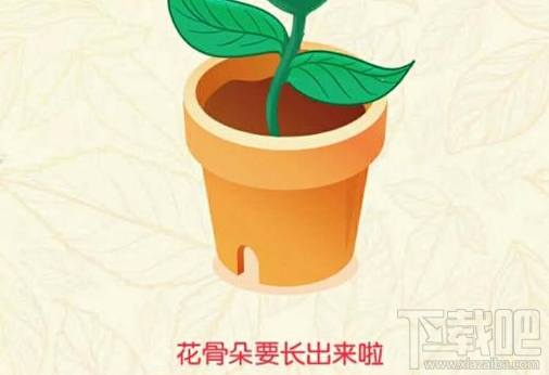 支付宝七夕有什么活动?支付宝七夕AR扫花送真花