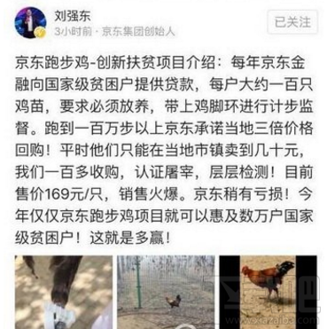 京东跑步鸡申请加盟教程 京东跑步鸡怎么加盟