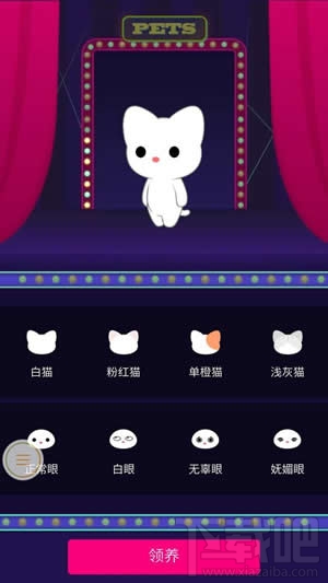 qq空间宠物怎么改名字？