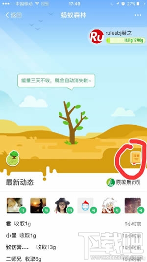 蚂蚁森林钉钉是什么？蚂蚁森林钉钉怎么收集能量？