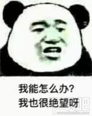 微信指数在哪里？微信指数怎么查？