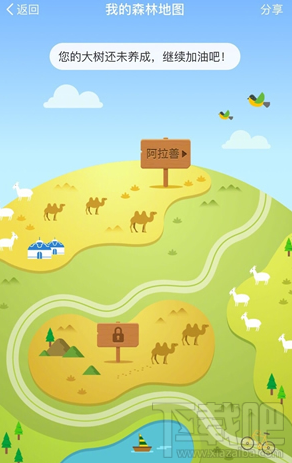 蚂蚁森林模拟地图怎么找自己的树?蚂蚁森林怎么查看种植情况