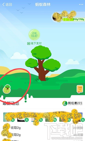 蚂蚁森林模拟地图怎么找自己的树?蚂蚁森林怎么查看种植情况