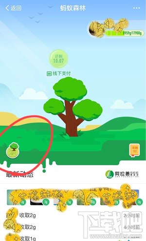 支付宝蚂蚁森林模拟地图在哪里?蚂蚁森林模拟地图怎么看