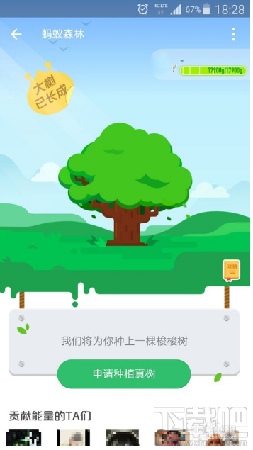 支付宝蚂蚁森林能量几点更新？蚂蚁森林什么时候偷能量？