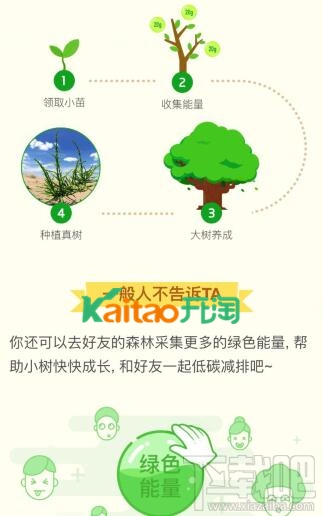 支付宝蚂蚁森林怎么领取树苗？