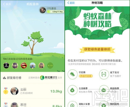 支付宝蚂蚁森林怎么领取树苗？