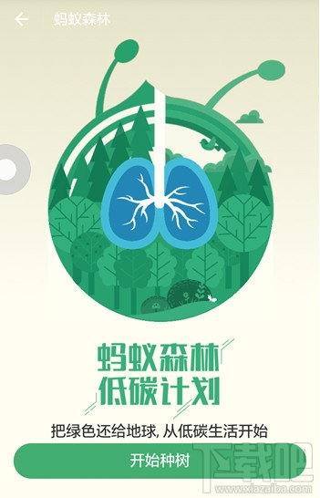 支付宝蚂蚁森林怎么开通？蚂蚁森林怎么集福？