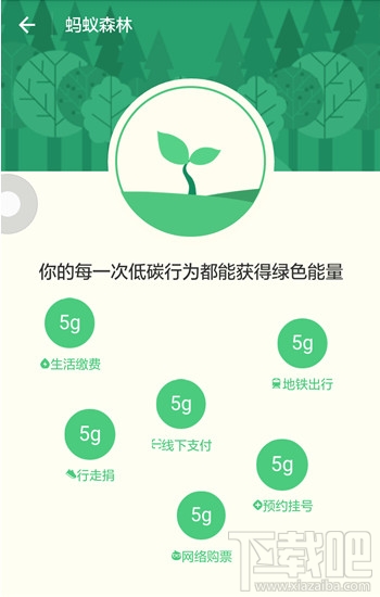 支付宝蚂蚁森林种树有什么用？蚂蚁森林线下支付什么意思